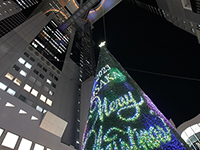 圧巻のスケールのシンボルツリーは絶好のフォトスポット