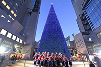 子供たちによるライトアップセレモニーも（開催日時は公式サイトを）