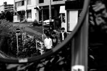 森は生きている 森は生きている