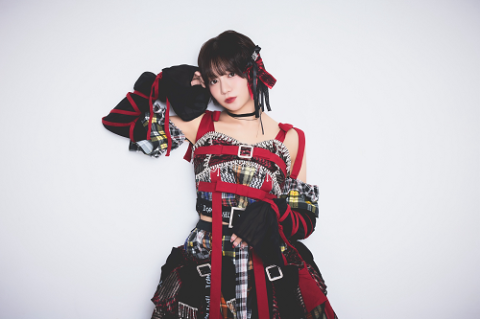 星名美怜 パネル エビ展【着払いor手渡し】