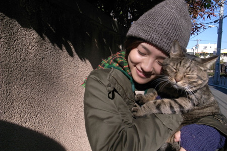 猫好き はまっしぐら 私は猫ストーカー 写真コンテストが開催中 タレントweeker