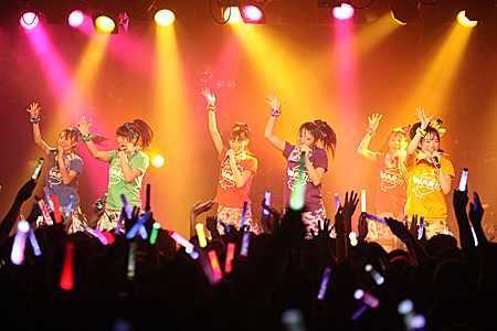 (C)アラキシン