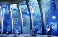 横浜・八景島シーパラダイスに新展示水槽が登場