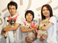 里親を待つ子犬