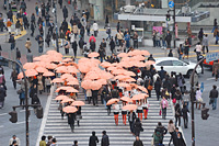 渋谷のスクランブル交差点がオレンジ色に