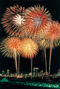 夜空に大輪を広げる打ち上げ花火 @なにわ淀川花火大会