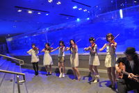 すみだ水族館 ペンギンと音楽の夜