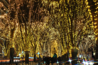 SENDAI 光のページェント