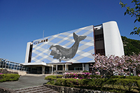 太地町立 くじらの博物館