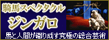 騎馬スペクタクル「ジンガロ」　＜バトゥータ＞