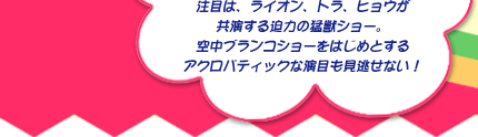 世界一流の海外アーティストたちが共演するダイナミックなスペクタクル・ショー「木下大サーカス」。注目は、ライオン、トラ、ヒョウが共演する迫力の猛獣ショー。空中ブランコショーをはじめとするアクロバティックな演目も見逃せない！