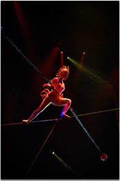 ハイ・ワイヤー(High Wire)
