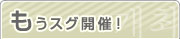 もうスグ開催！