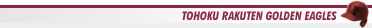 TOHOKU RAKUTEN GOLDEN EAGLES