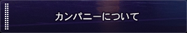 カンパニーについて