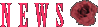 新着情報
