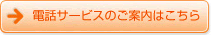 →電話サービスのご案内はこちら
