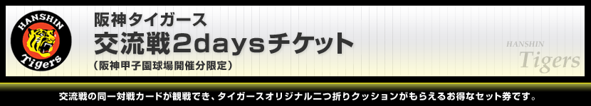 阪神タイガース 交流戦2daysチケット