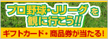 2012プロ野球・Jリーグを観にいこう！