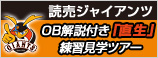 読売ジャイアンツ OB解説付「直生」練習見学ツアー