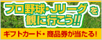 2012プロ野球・Jリーグを観にいこう！