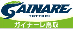 ガイナーレ鳥取対ＦＣ岐阜　Ｊ２リーグ戦