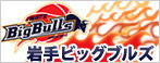 岩手ビッグブルズホームゲーム bjリーグ2011-2012