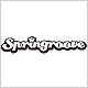 Springroove 07