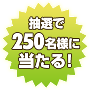 抽選で250名様に当たる！