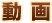 動画