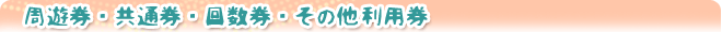 周遊券・共通券・回数券・その他利用券