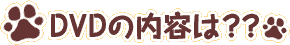 DVDの内容は？
