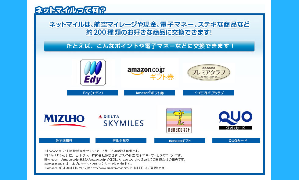 ネットマイルって何？