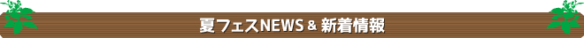 フェスNEWS 新着情報