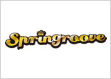 SPRINGROOVE 2013