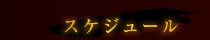 スケジュール