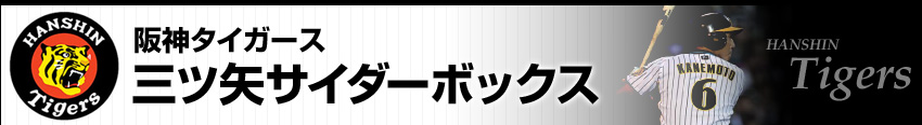 阪神タイガース 三ツ矢サイダーボックス