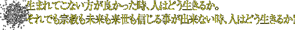 生まれてこない方が良かった時、人はどう生きるか。
    それでも宗教も未来も来世も信じる事が出来ない時、人はどう生きるか！