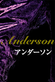アンダーソン役