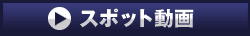 スポット動画再生