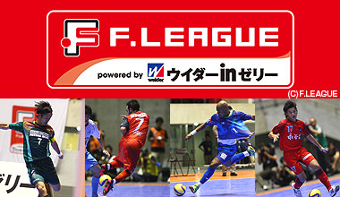 Fリーグ2011 (全国)