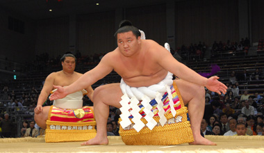 平成22年度 大相撲三月場所 (大阪府)