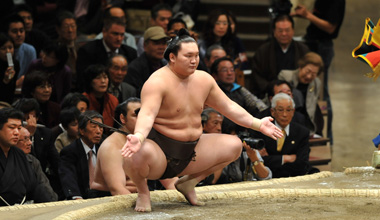 大相撲九月場所 (東京都)