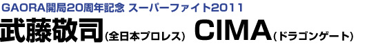 武藤敬司(全日本プロレス)・CIMA(ドラゴンゲート)