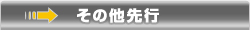 その他先行