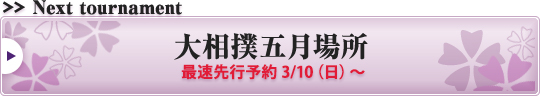 大相撲 チケット 名古屋場所 7月19日+fauthmoveis.com.br