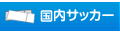 国内サッカー