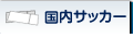 国内サッカー