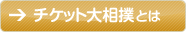 チケット大相撲とは