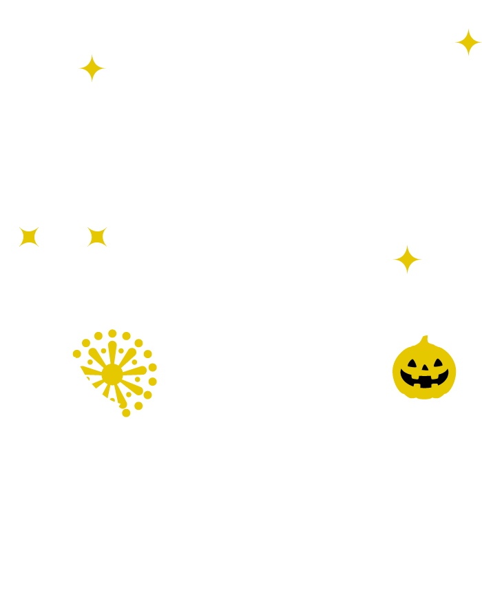 お台場海上芸術花火祭2017